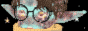 aevuslabyrinth.gif
