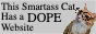 button4.png