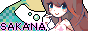 n-sk-a.png