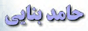hamed_logo.gif