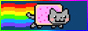 nyan.gif