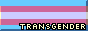 badge_transgender.gif