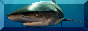 7183315e834dcc0347a89725d04733e7cd434e17.pnj