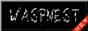waspnests.png