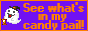 candypailbutton.png