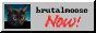 brutalmoose.png