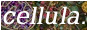 cellula1.png