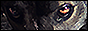 archived 88x31 button #34845