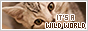 archived 88x31 button #93162