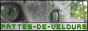 archived 88x31 button #93232