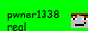 pwner1338.png