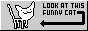 funnyCatLookingAroundButton.gif