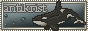 antikristnewbutton2.png