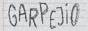 garpejio.gif