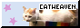 buttoncat.png