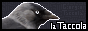 lataccola.png