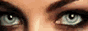 bu0181.gif