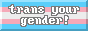 trans_your_gender.png