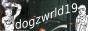 dogzwrld19_3.jpg