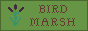 birdmarsh.png