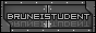 bruneistudent_logo.gif