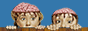 chainsawed.gif