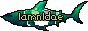 lamnidae.gif