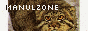 manulzone.png
