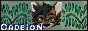 cadeion_2.png