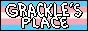 grackle_2.png