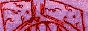 spiders_2.gif