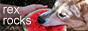 66.png