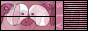 fsbutton2.gif