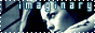 button149.jpg