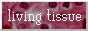 weirdscienceneko.gif