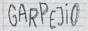 garpejio-button.gif