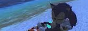 sonicbeach.png