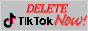 deletetiktok2.png