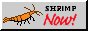 bigorangecherrym.png