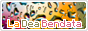 archived 88x31 button #94598