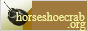 horseshoe-org.png