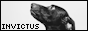 archived 88x31 button #94662