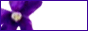 88x31button.jpg
