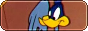 roadrunnerlogbutton_rounded.png