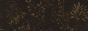 tarp.gif