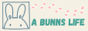 abunnslife.png