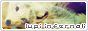 archived 88x31 button #94787