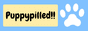 puppypilled-button.png