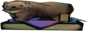 woodenbear.png