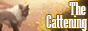 PbXItVl.png